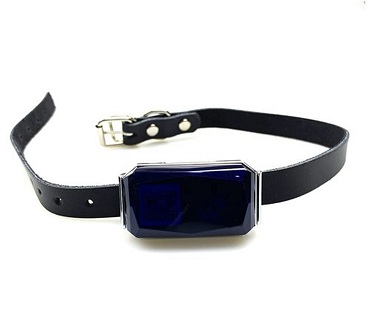 Port Gps